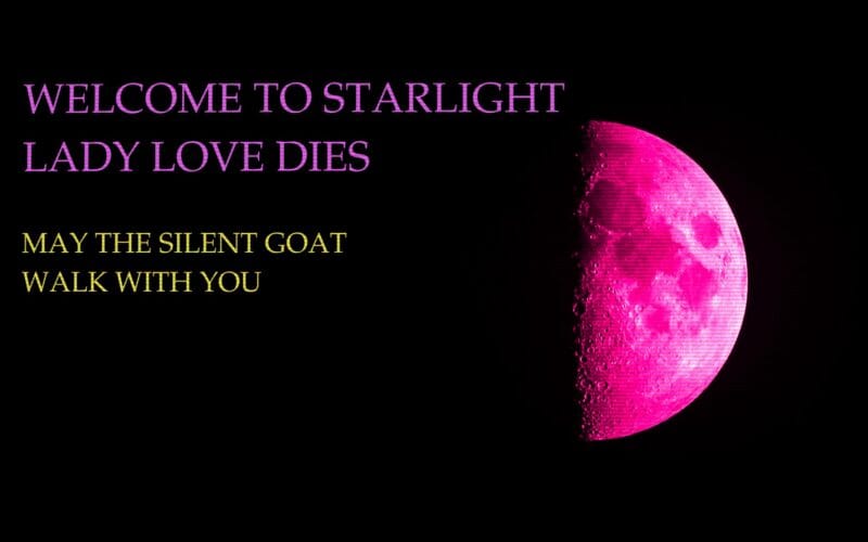 Games of 2020: Paradise Killer