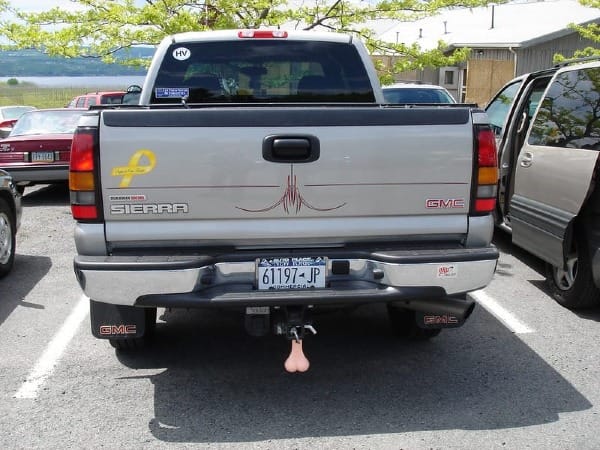 “LICENSE FEE: TRUCK NUTS PHOTO”