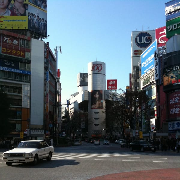 Tokyo 2010: Fukubukuro