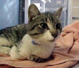 A New Addition To The Family